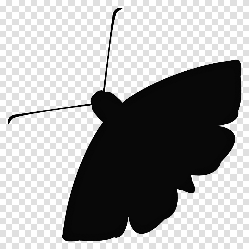 Moth Image Moth Silhouette, Bow, Animal, Insect, Invertebrate Transparent Png