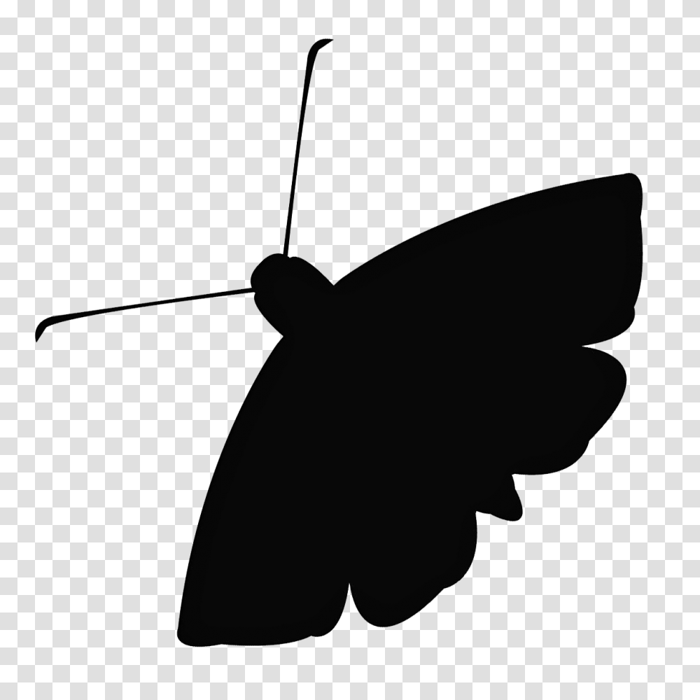 Moth Images Free Download, Silhouette, Animal, Insect, Invertebrate Transparent Png