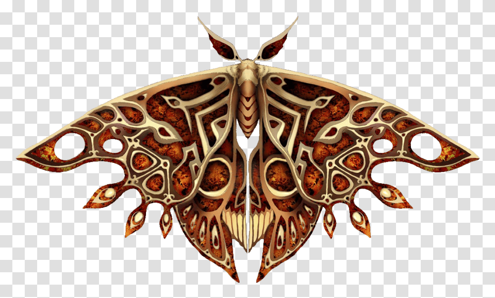 Moth Images Pandora's Tower Icons, Ornament, Insect, Invertebrate, Animal Transparent Png