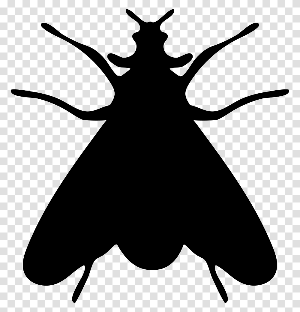Moth Insect Shape Icon Free Download, Silhouette, Stencil, Axe, Tool Transparent Png