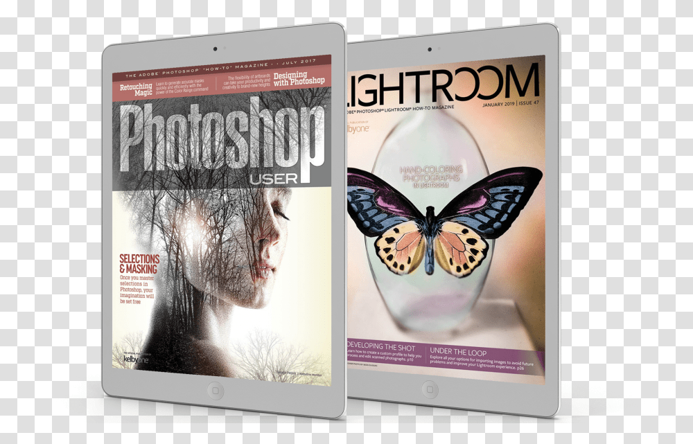Moth, Magazine, Advertisement, Poster Transparent Png
