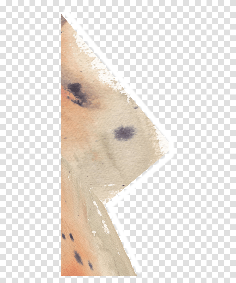 Moth, Mold, Stain, Canvas Transparent Png
