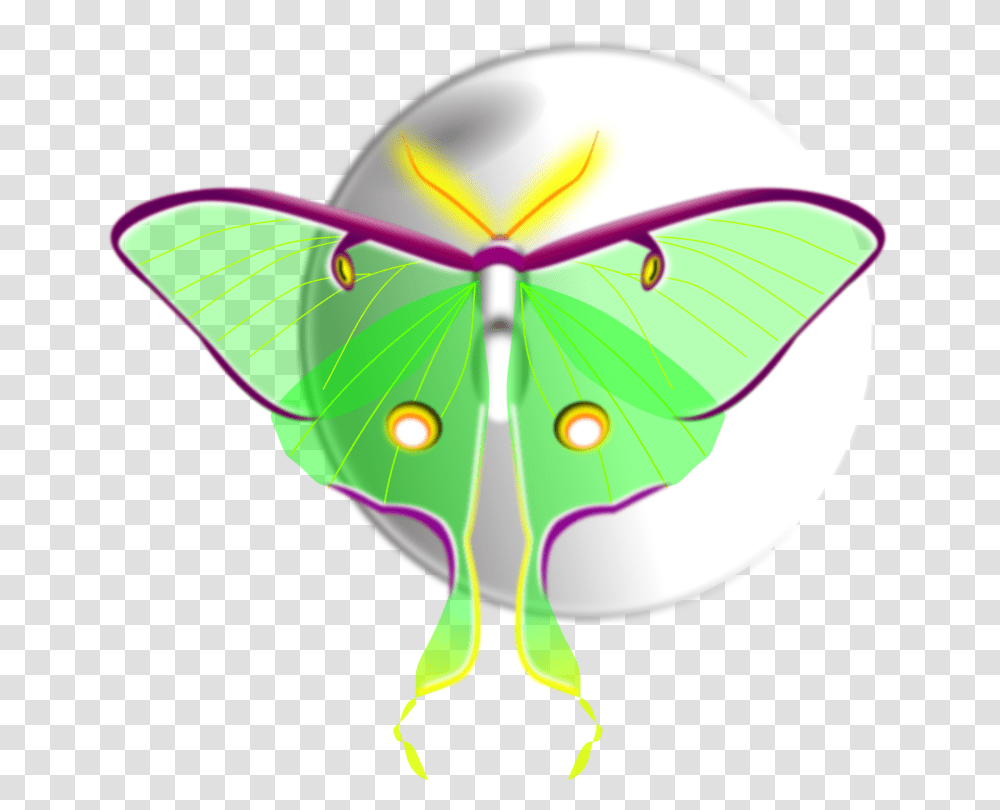Moth Monarch Butterfly Brush Footed Butterflies Computer Icons, Balloon, Insect, Invertebrate, Animal Transparent Png