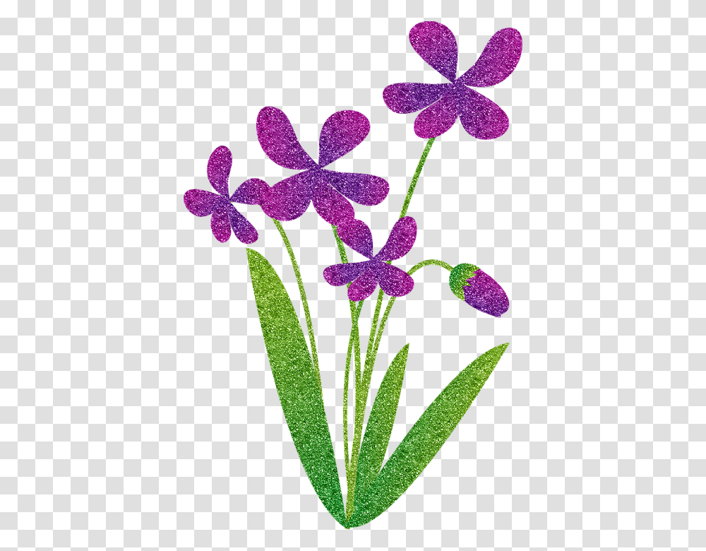 Moth Orchid, Plant, Flower, Blossom, Purple Transparent Png