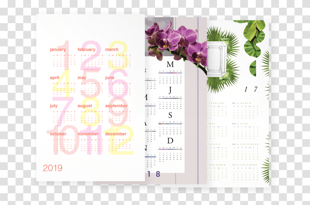 Moth Orchid, Page, Calendar, Menu Transparent Png