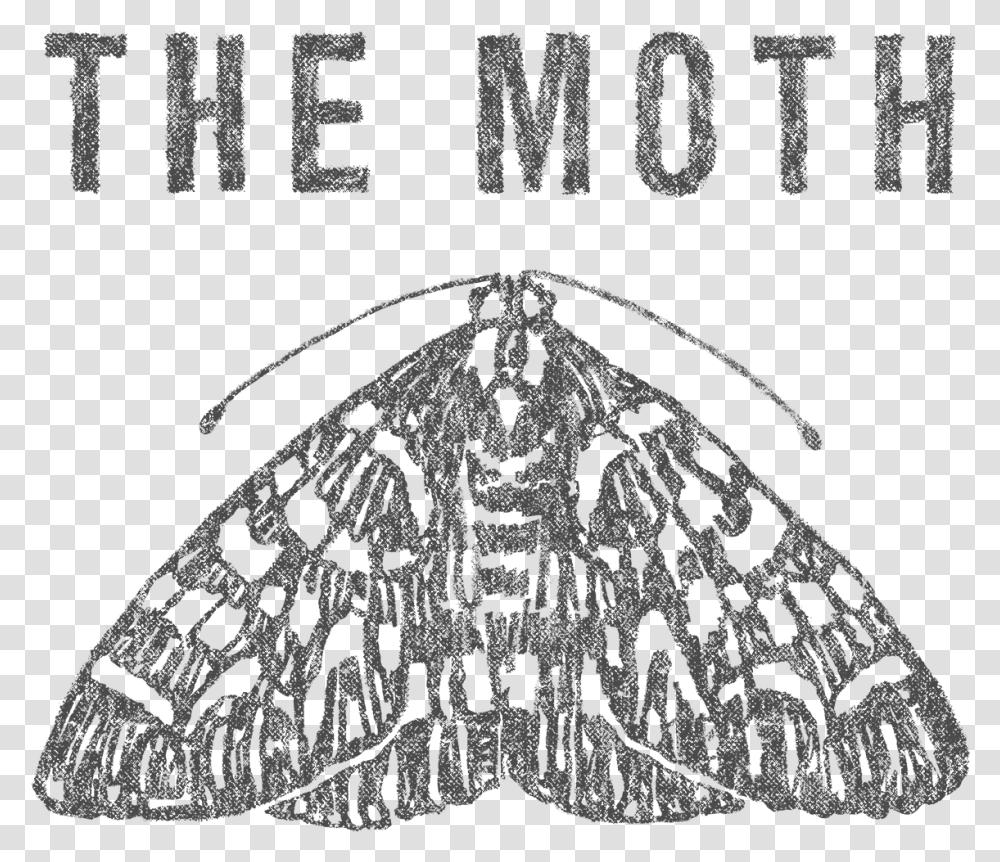 Moth Podcast, Rug, Animal, Invertebrate, Insect Transparent Png