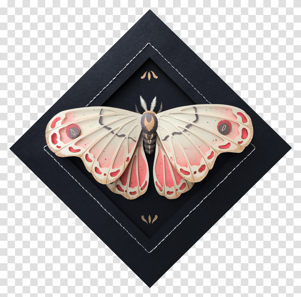 Moth Transparent Png