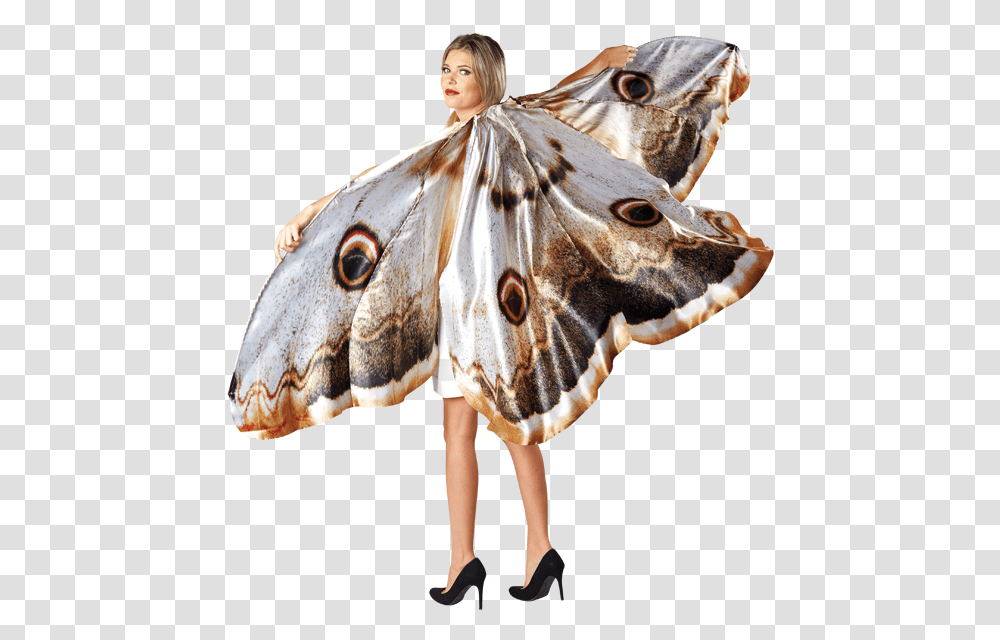 Moth Wings Butterfly, Insect, Invertebrate, Animal, Horse Transparent Png