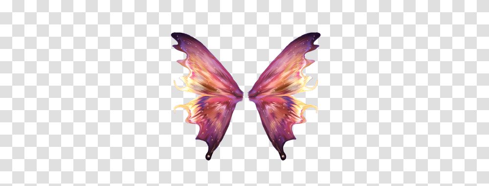 Moth Wings Image, Ornament, Pattern, Fractal, Dye Transparent Png