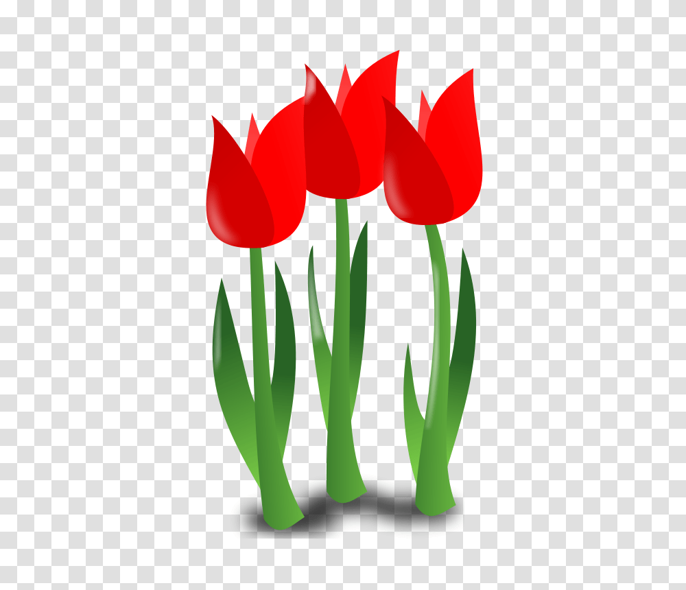 Mother Clip Art, Plant, Flower, Blossom, Tulip Transparent Png