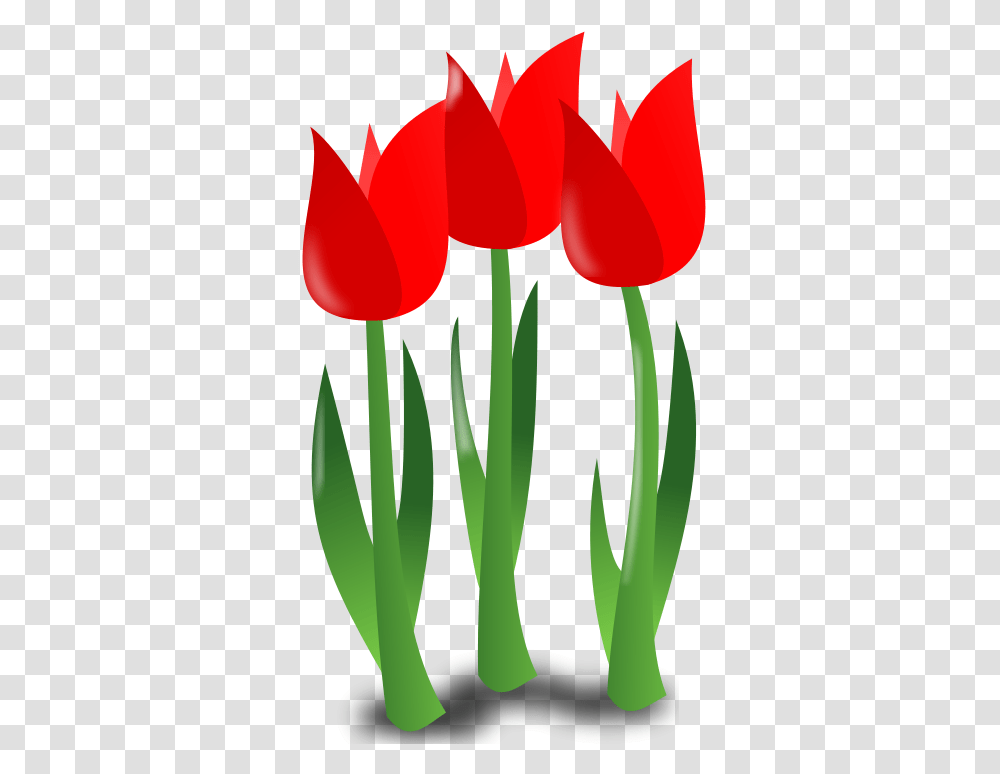 Mother Day Icon 102102 Free Svg Download 4 Vector Clip Art April Flower, Plant, Blossom, Tulip, Person Transparent Png
