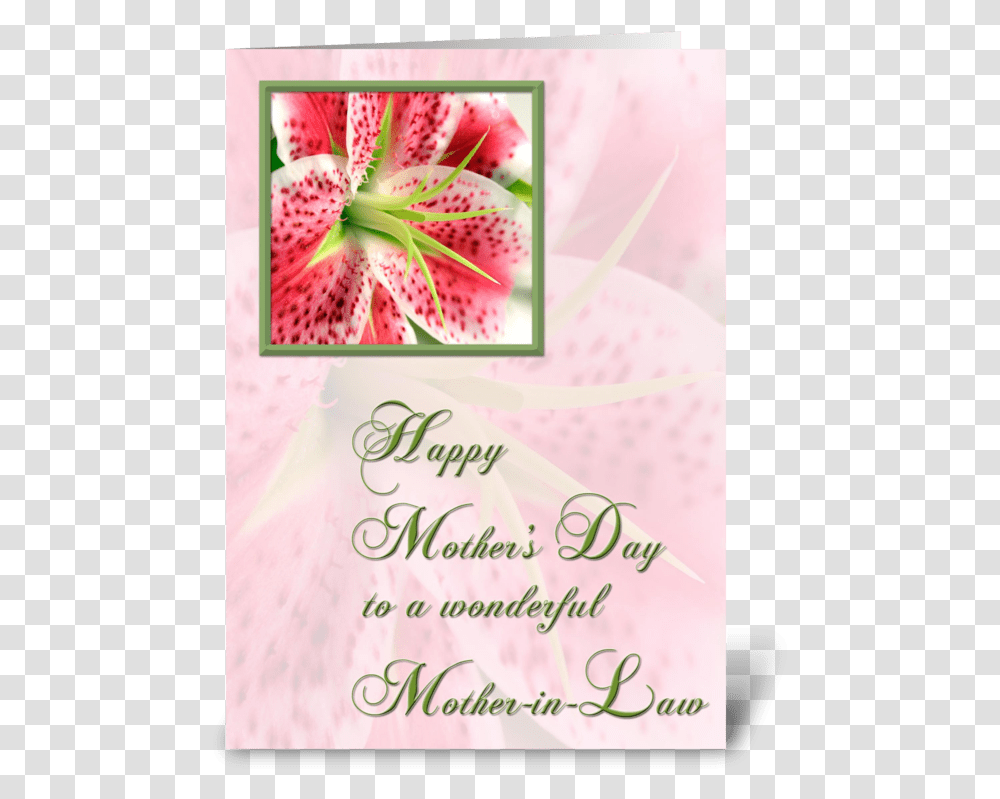 Mother In Law Stargazer Lily Greeting Card Happy Anniversary Stargazer Lilies, Petal, Flower, Plant, Anther Transparent Png