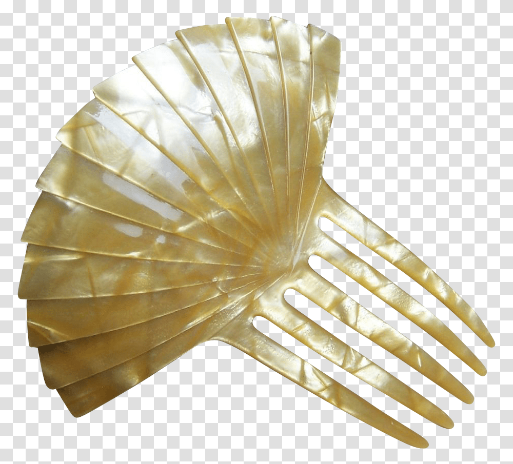 Mother Of Pearl Mother Of Pearl Hair Combs, Sea Life, Animal, Invertebrate, Clam Transparent Png