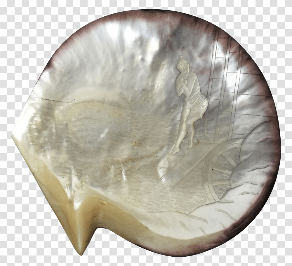 Mother Of Pearl Mother Of Pearl Shell Plate, Leisure Activities, Fossil, Pottery, Plant Transparent Png