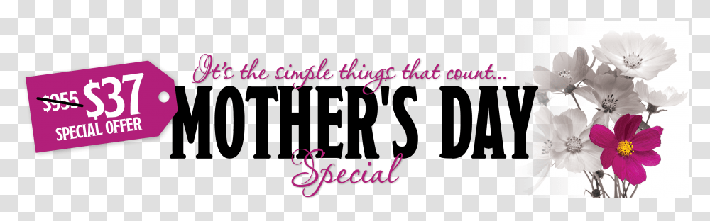 Mothers Day 2018 Special Price Tag Download, Label, Handwriting, Sticker Transparent Png