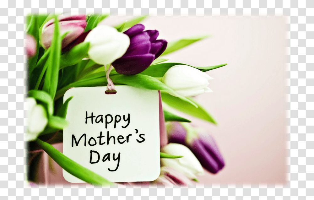 Mothers Day Banner Cute Happy Mothers Day, Plant, Flower, Blossom Transparent Png