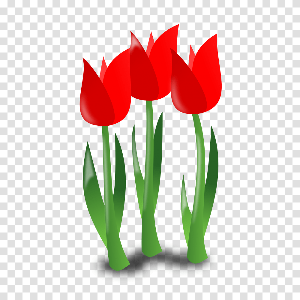 Mothers Day Clipart Mom, Plant, Flower, Blossom, Tulip Transparent Png