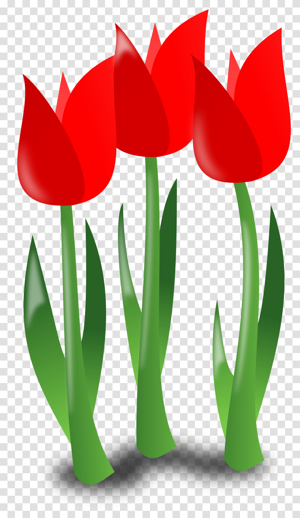 Mothers Day Clipart Mother Icon Flower Day Clipart, Plant, Blossom, Tulip Transparent Png