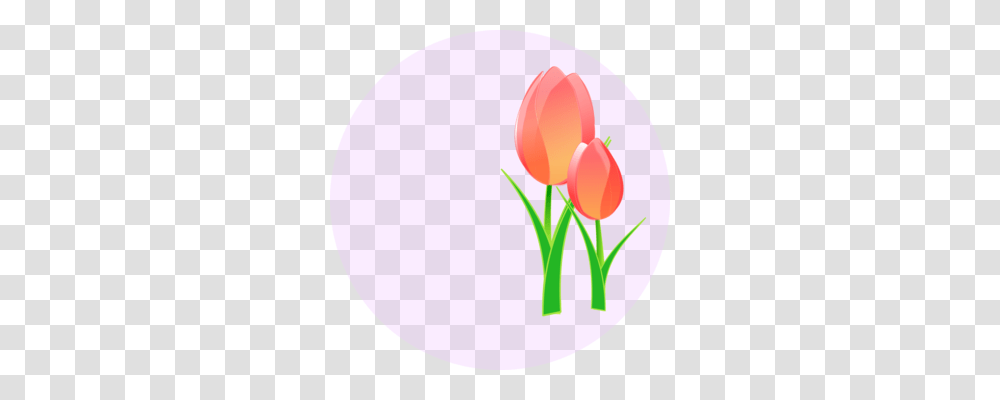 Mothers Day Flower Bouquet Drawing Fathers Day, Plant, Balloon, Blossom, Tulip Transparent Png