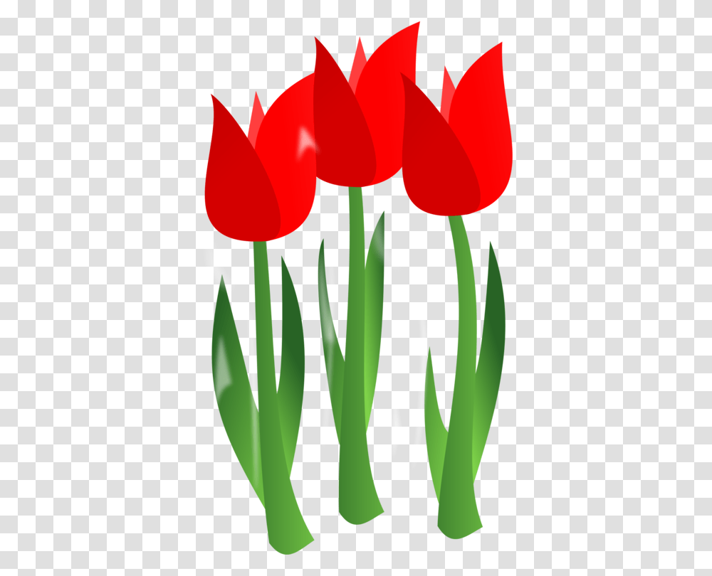 Mothers Day Flower Bouquet Holiday, Plant, Blossom, Tulip Transparent Png