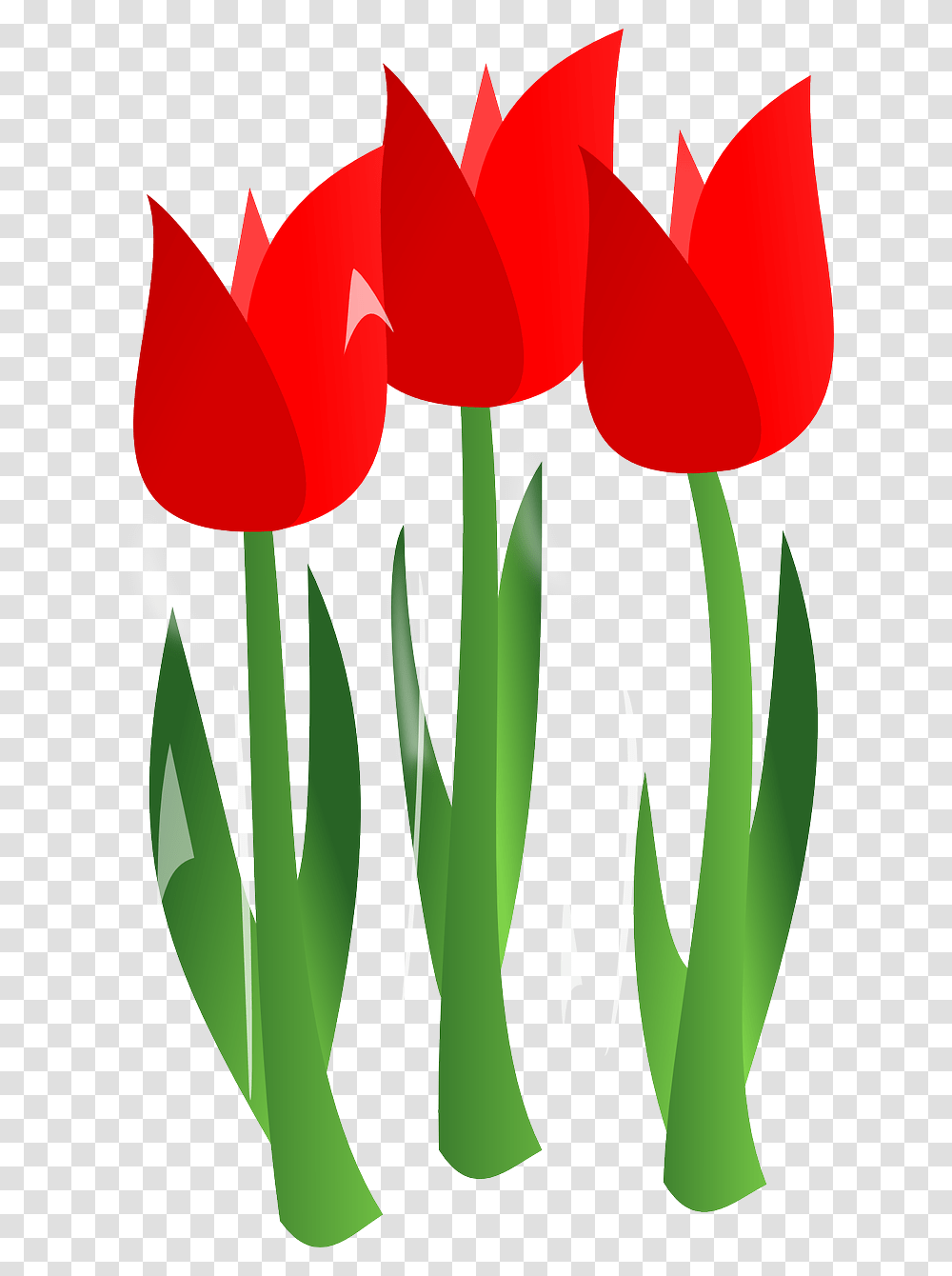 Mothers Day Flowers Cartoon, Plant, Blossom, Tulip Transparent Png
