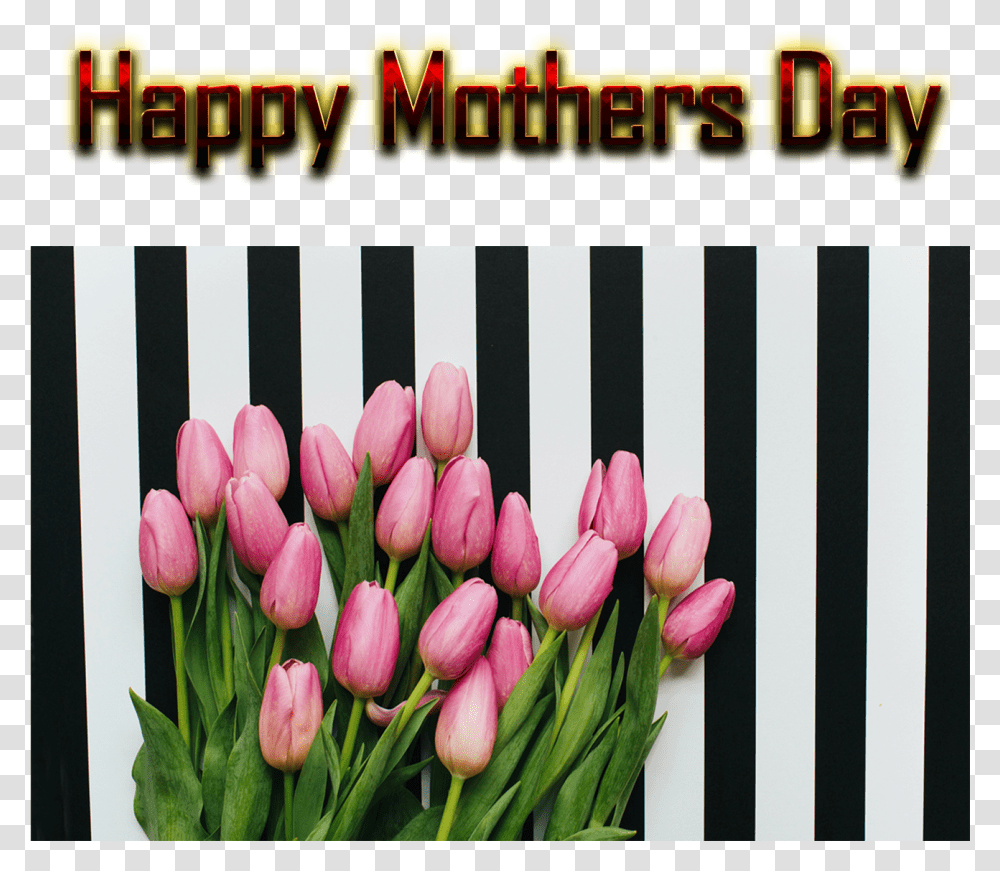 Mothers Day Greetings Free Background Sprenger's Tulip, Plant, Flower, Blossom, Flower Arrangement Transparent Png