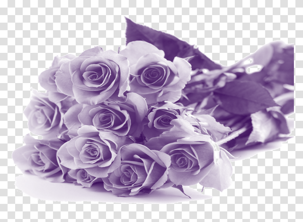 Mothers Day Images Stickpng Mothers Day Purple Flowers, Plant, Rose, Blossom, Flower Bouquet Transparent Png