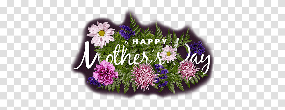 Mothers Day Logo Copy Floral, Plant, Floral Design, Pattern, Graphics Transparent Png