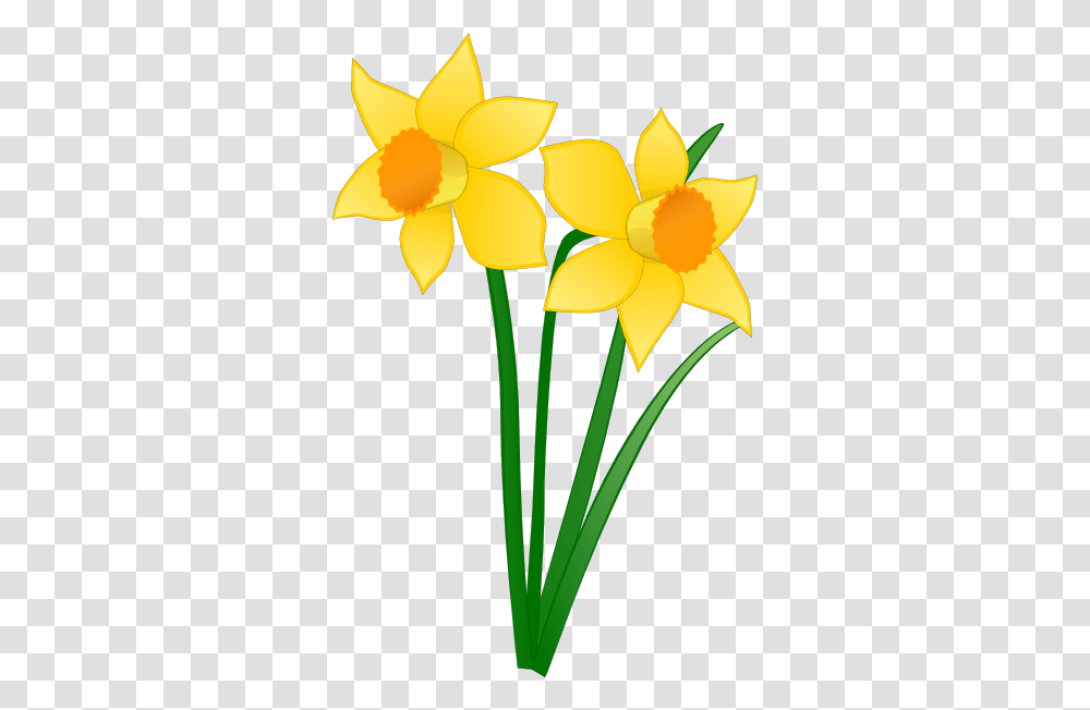Mothers Day Mass Sunday March All Welcome Saints Peter, Plant, Flower, Blossom, Daffodil Transparent Png