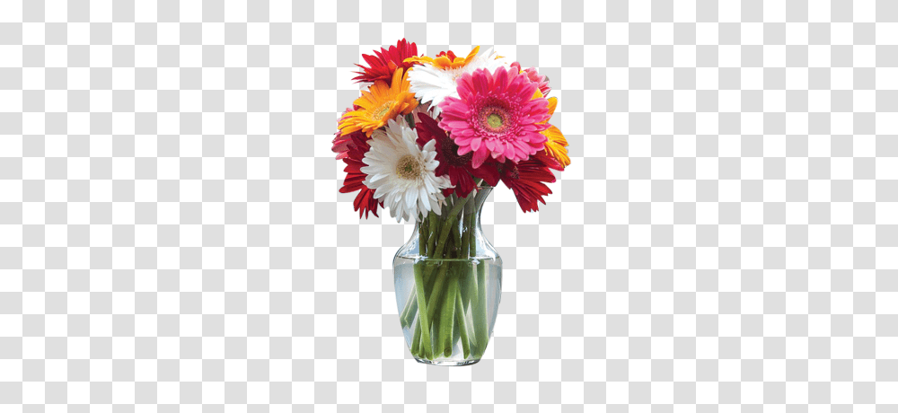 Mothers Day Traditions, Floral Design, Pattern Transparent Png