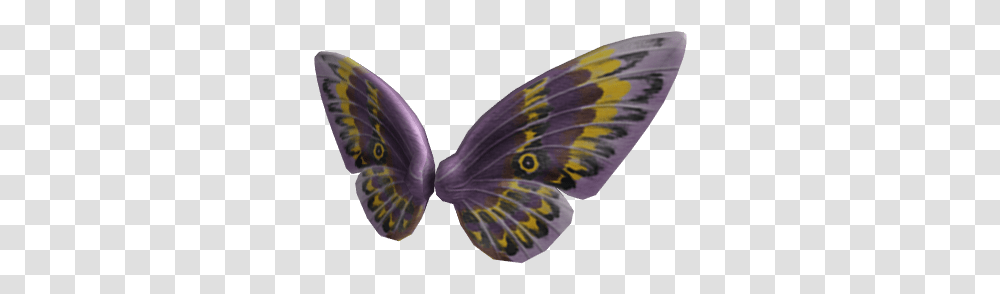 Mothman Wings Rbxleaks Butterfly, Animal, Insect, Invertebrate Transparent Png