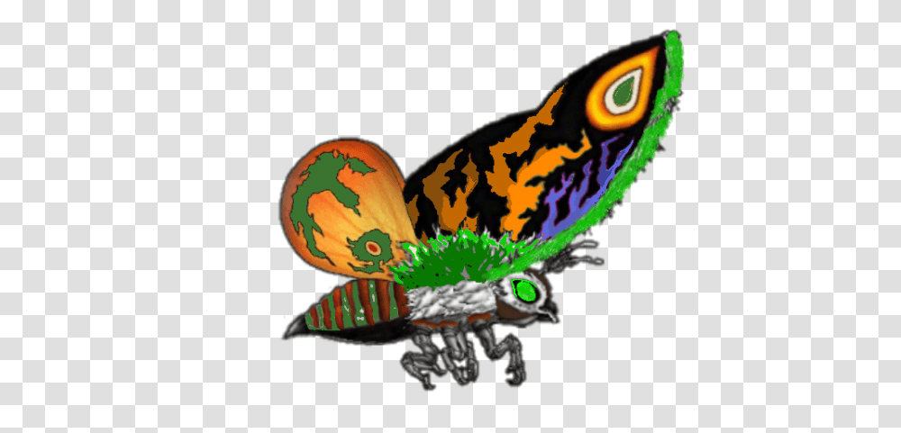 Mothra, Dragon, Pattern, Bird, Animal Transparent Png