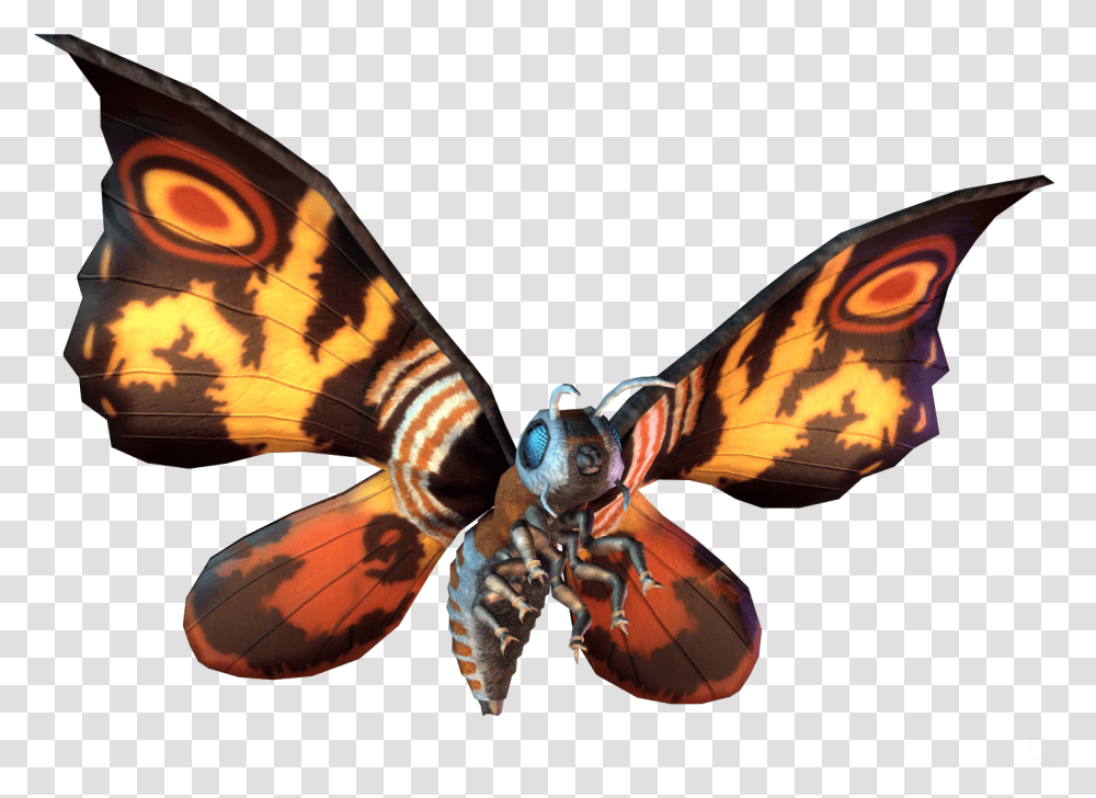 Mothra Mothra, Insect, Invertebrate, Animal, Butterfly Transparent Png