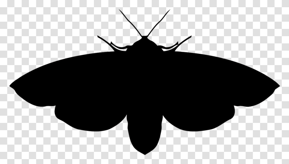 Moths Brush Footed Butterfly, Bow, Animal, Insect, Invertebrate Transparent Png