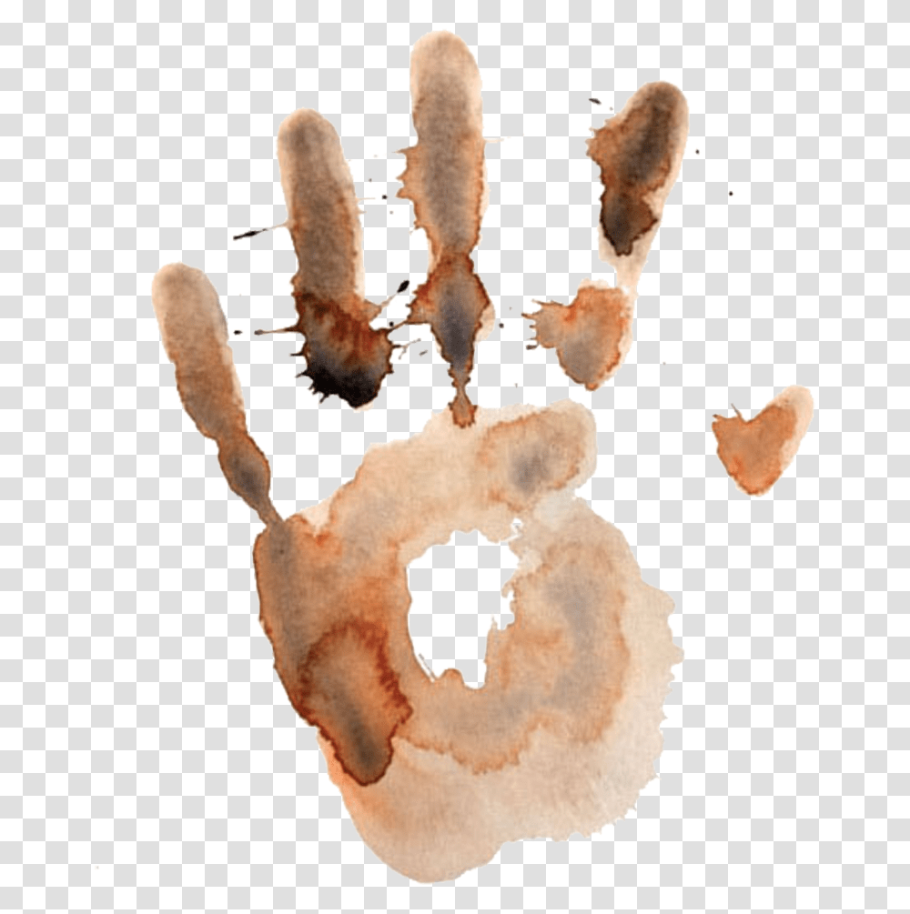 Moths Dirty Stain, Food, Person, Human Transparent Png