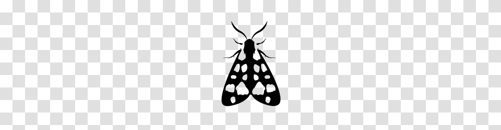Moths With Black And White Color Patterns Collection Noun Project, Gray, World Of Warcraft Transparent Png