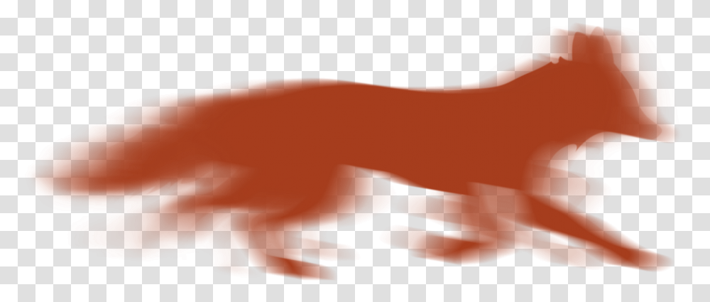 Motion Blur Fox Final Red, Mammal, Animal, Wildlife, Bear Transparent Png