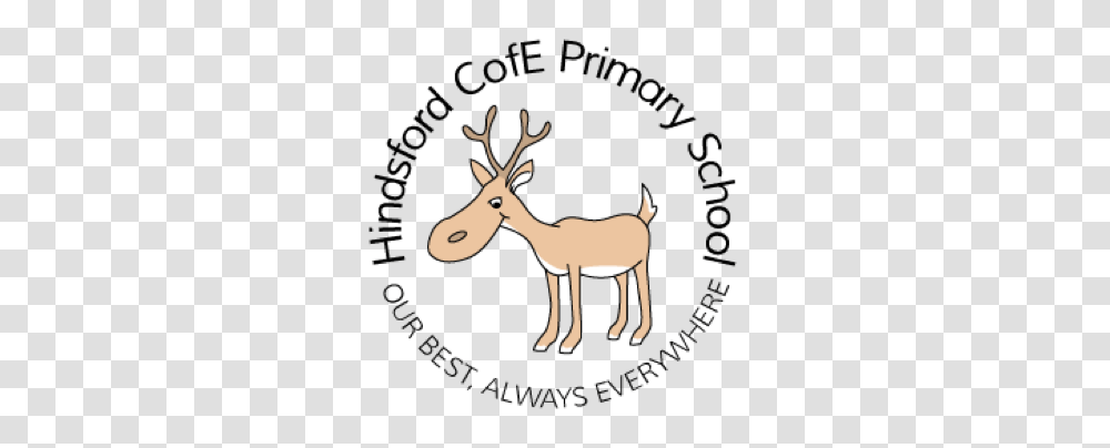 Motto Aims And Values Hindsford Cofe Primary School, Mammal, Animal, Wildlife, Deer Transparent Png