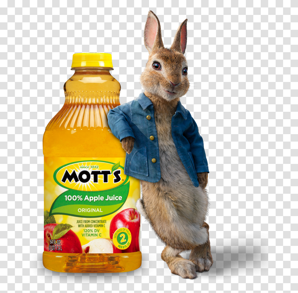 Motts Apple Juice, Beverage, Drink, Orange Juice, Toy Transparent Png