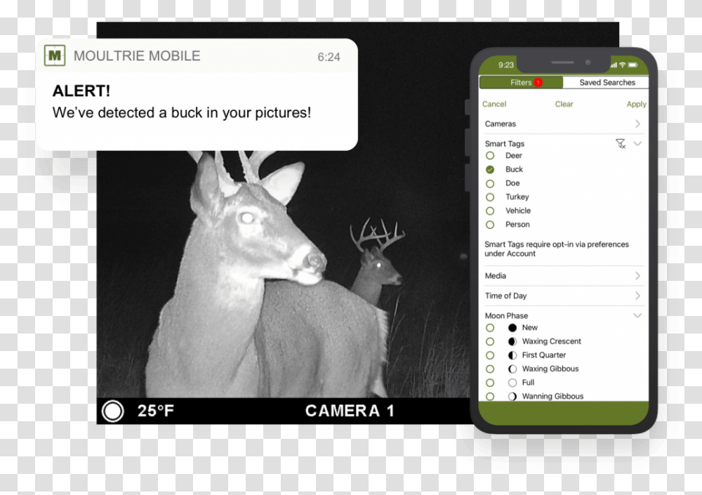 Moultrie Mobile App Trail Camera Android & Iphone Mobile Phone, Electronics, Text, Deer, Wildlife Transparent Png
