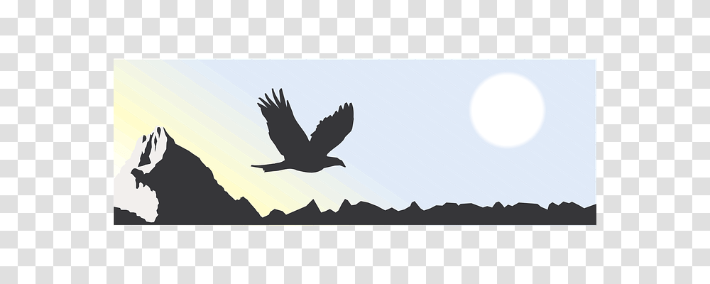 Mountain Flying, Bird, Animal, Person Transparent Png