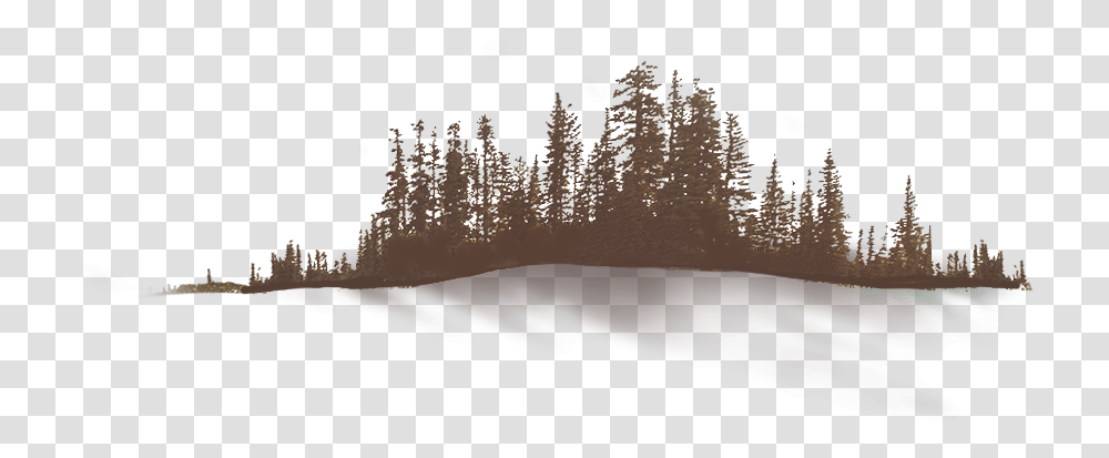 Mountain B Snow, Nature, Outdoors, Tree, Plant Transparent Png