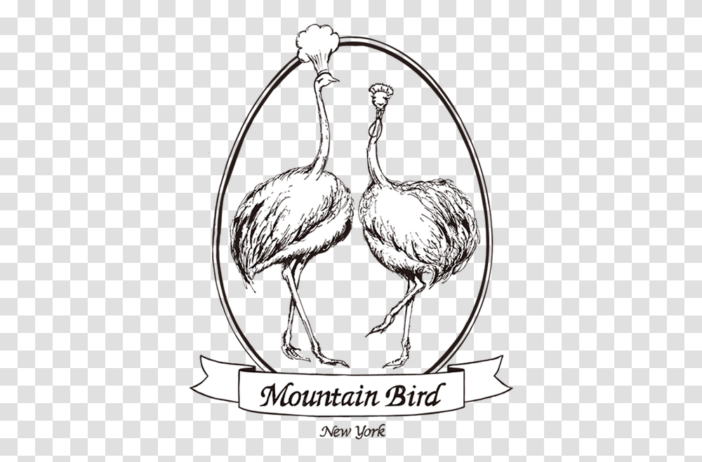 Mountain Bird - Tastings Bespoke Catering & Events Flightless Bird, Animal, Ostrich, Kiwi Bird Transparent Png