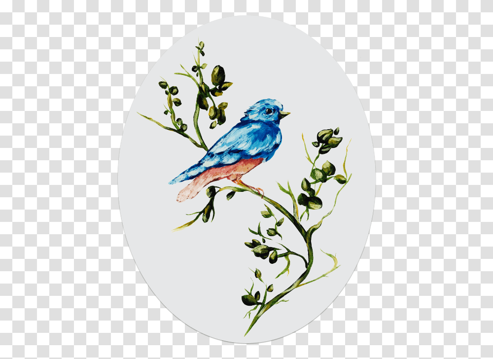 Mountain Bluebird, Animal, Jay, Blue Jay Transparent Png