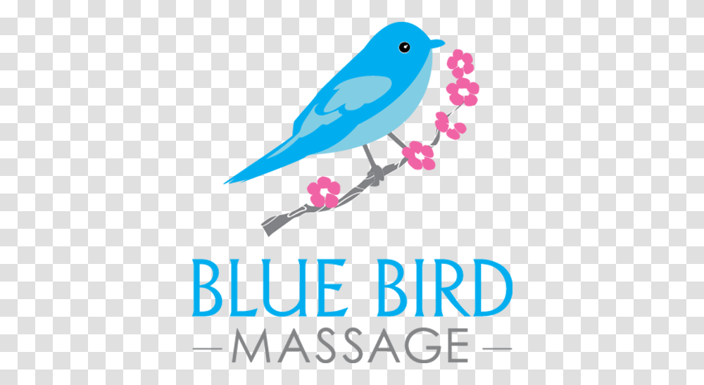 Mountain Bluebird, Poster, Advertisement, Animal, Canary Transparent Png