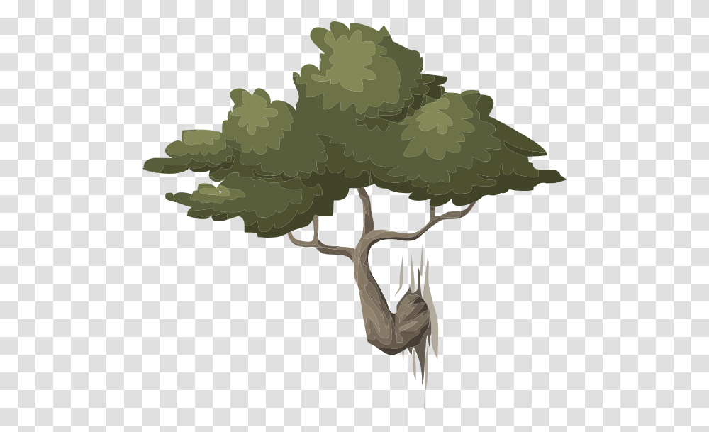 Mountain Bonsai Clip Arts For Web, Plant, Tree, Root, Bush Transparent Png