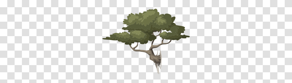 Mountain Bonsai Clip Arts For Web, Tree, Plant, Vegetation, Animal Transparent Png