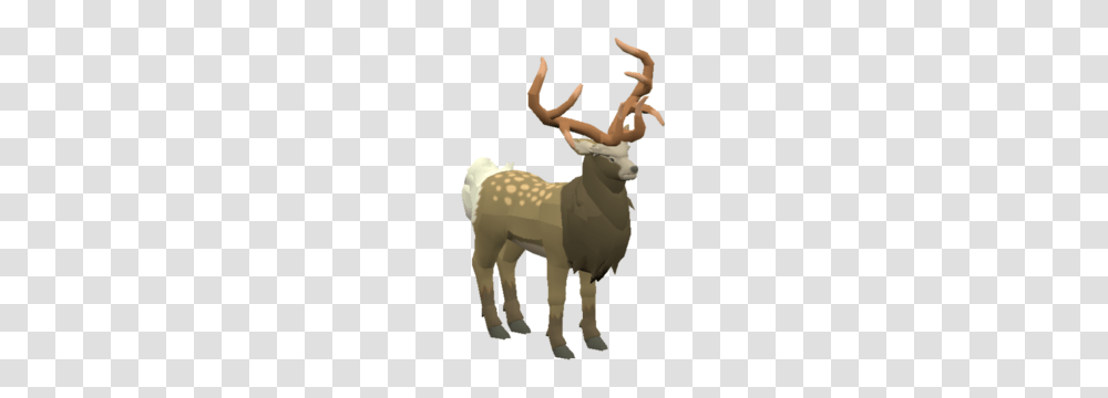 Mountain Buck, Elk, Deer, Wildlife, Mammal Transparent Png