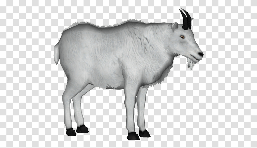 Mountain Goat Clipart Background, Mammal, Animal, Wildlife, Horse Transparent Png