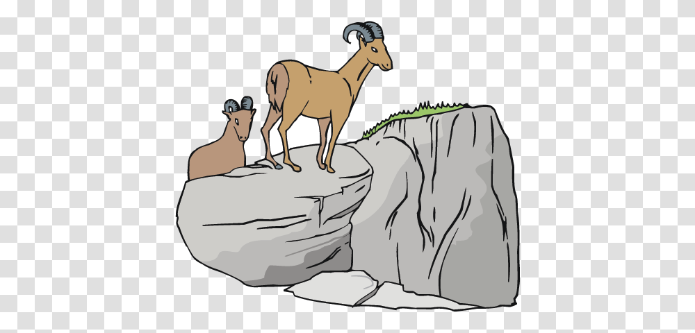 Mountain Goats Resources, Wildlife, Animal, Mammal, Antelope Transparent Png